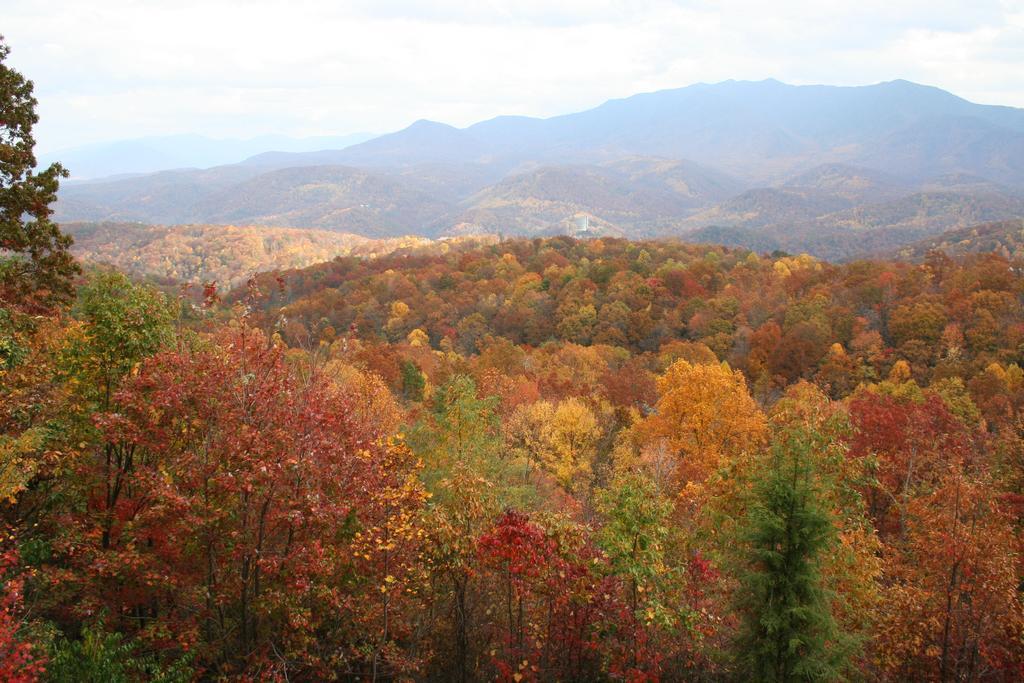 The Foxtrot Bed And Breakfast Gatlinburg Exteriér fotografie